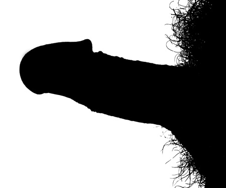 管理人の勃起したペニスを真横から見たシルエット